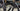 Liv EnviLiv Carbon - SRAM Red eTap - Capital 1.0 Carbon