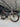 Trek Madone SL6 Carbon - Shimano 105 Di2 2x12sp - FFWD Royt 55 carbon wheelset