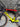 De Rosa Merak Carbon - Shimano Ultegra Di2 2x12sp - Zipp 404 Firecrest