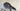 Specialized Roubaix Comp - SRAM Rival AXS 2x12sp - Ere Research Omnia II CLR45