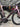 Giant Propel Advanced - SRAM Rival AXS 2x12sp - Giant SLR2 carbon wheelset
