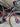 Specialized S-Works Tarmac SL7 - Shimano Dura-Ace Di2 2x12sp - Gipiemme Carbon