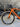 BMC Roadmachine ONE Carbon - SRAM Force AXS 2x12sp - DTSwiss ERC carbon