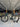 Ridley Grifn RS Di2 Carbon - Shimano GRX Di2 - Forza carbon wheelset