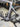 Pinarello Dogma F12 Carbon - Shimano Ultegra Di2 2x12sp - Mavic cosmic pro carbon wheelset