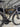 Specialized S-Works Tarmac SL8 2024 - Shimano Dura-Ace Di2 2x12sp - Roval Rapide CLX II