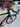 Giant Propel Advanced SL Disc 0 - SRAM Red eTap 2x11sp - CADEX Aero Disc carbon wheelset