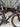 Specialized Tarmac SL7 Pro Di2 Carbon - Shimano Ultegra Di2 - Roval Rapide CL carbon wheelset