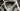 Trek Madone SLR Carbon - SRAM Force AXS 2x12sp - Bontrager Aeolus Pro 51 carbon