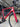 Canyon Ultimate CF SL - Shimano Ultegra Di2 2x12sp - DTSwiss alu wheels