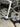 Apex Flare Carbon - Shimano Ultegra - Handmade carbon wheelset