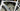 Pinarello Dogma F12 - Shimano Dura-Ace Di2 2x12sp - Ere Research Omnia II CLR45