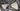Trek Madone SL6 Carbon - SRAM Rival AXS 2x12sp - Bontrager Aeolus Elite 35 carbon
