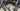 Giant TCR Advanced SL 4 2013 - Shimano Ultegra - Giant P-SL0 WheelSystem