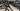 Giant Defy Advanced 0 2024 - SRAM Rival eTap AXS 2x12sp - Giant P-R2