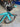 Bianchi Aquila RC Disc Carbon - Shimano Dura-Ace Di2 2x12sp - Vision Metron carbon wheelset