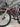 Giant Propel Advanced - SRAM Rival AXS 2x12sp - Giant SLR2 carbon wheelset