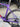 Giant TCR Carbon - Shimano 105 Di2 2x12sp - Carbon/alu wheelset