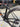 Giant TCR Advanced Pro 0 - Shimano Ultegra Di2 2x12sp - Giant SLR1 carbon wheelset