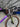 Canyon Grail CF SL CSR - SRAM Rival AXS 2x12sp - Zipp firecrest carbon wheelset