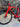 BMC Timemachine SLR01 Carbon - Shimano Ultegra Di2 2x12sp - Fulcrum Speed carbon wheelset