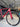 Canyon Ultimate CF SL - Shimano Ultegra Di2 2x12sp - DTSwiss alu wheels
