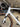 Scott Addict Gravel - SRAM Rival AXS 2x12sp - Syncros Capital X40 Carbon