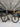 Focus Izalco Max - SRAM Red eTap - Zipp 303S