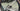 Specialized Aethos Comp AXS - SRAM Rival AXS 2x12sp - CRD-351 carbon wheelset