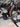 Specialized S-Works Venge Di2 Carbon - Shimano Ultegra Di2 - DT Swiss ARC1400 carbon