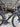 Canyon Ultimate CF SL - Shimano Ultegra - FFWD carbon wheelset