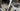 Specialized S-Works Venge - SRAM Red eTap 2x11sp - 9th Wave carbon wheelset