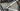 Specialized S-Works Tarmac SL8 2024 - SRAM Red AXS 2x12sp - Roval Rapide CLX II