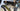 Wilier Filante SLR Cavendish Ltd - Shimano Dura-Ace Di2 2x12sp - Miche Wilier carbon wheelset