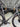 Giant TCR Advanced SL - SRAM Force AXS 2x12sp - Giant SLR1 carbon wheelset