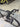 Specialized S-Works Tarmac SL6 - Shimano Ultegra Di2 2x12sp - Roval C38 Carbon