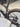 Trek Madone SLR7 Di2 - Shimano Ultegra Di2 - Bontrager Aerolus Pro carbon wheelset