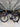Canyon Ultimate CF SLX Di2 - Shimano 105 Di2 - Vision 45SC Carbon