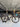 Specialized S-Works Venge Carbon - SRAM Red eTap - ZIPP 303 NSW carbon