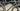 Specialized Crux Expert 2025 - Sram Rival eTap AXS 1x12sp - Roval Terra C