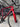 Trek Emonda SL6 Di2 Carbon - Shimano 105 Di2 - Bontrager Aeolus carbon wheelset
