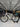 Specialized Aethos Expert 2025 - Sram Rival eTap AXS 2x12sp - Roval C38