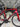 Trek Emonda SL6 Di2 Carbon - Shimano 105 Di2 - Bontrager Aeolus carbon wheelset
