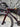 Specialized Tarmac SL7 Pro Di2 Carbon - Shimano Ultegra Di2 - Roval Rapide CL carbon wheelset