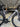 Bianchi Oltre PRO 2024 - Shimano Ultegra Di2 2x12sp - Velomann Carbon V50R