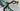 Scott Addict RC Aston Martin Carbon - Shimano Dura-Ace Di2 2x12sp - Hunt team edition