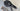 Specialized Tarmac SL6 - Shimano Ultegra Di2 2x12sp - Roval Carbon