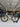 BMC Roadmachine 01 Carbon - SRAM Force AXS 2x12sp - Zipp 303s carbon