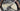 Specialized S-Works Venge Carbon - SRAM Red eTap - ZIPP 303 NSW carbon