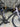 Giant Defy Advanced Pro 1 - Shimano Ultegra Di2 2x12sp - Carbon wheelset